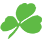 Aer Lingus